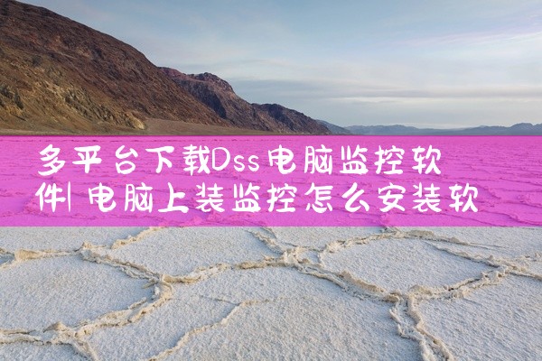 多平台下载Dss电脑监控软件